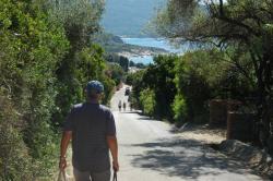 Cargese: Road down to the harbour